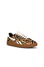 view 2 of 6 Club C Grounds Sneaker in Cheetah, Cheetah & Chalk