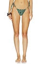 view 1 of 5 BAS DE MAILLOT DE BAIN CARIOCA in Texas Green