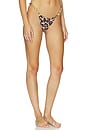 view 2 of 5 BAS DE MAILLOT DE BAIN SPLASH in Ghepardo