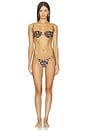view 4 of 5 BAS DE MAILLOT DE BAIN SPLASH in Ghepardo