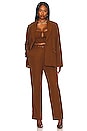 view 9 of 11 Cait Blazer in Brown