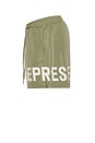 view 3 of 5 Swim Short in Khaki