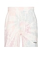 view 1 of 4 x REVOLVE Owners Club Shorts in Tie Dye