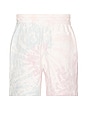 view 2 of 4 x REVOLVE Owners Club Shorts in Tie Dye