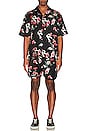 view 4 of 4 Floral Shorts in Jet Black