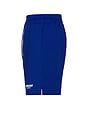 view 3 of 4 Owners Club Mesh Short in Cobalt Blue