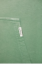 view 5 of 5 SWEAT À CAPUCHE OWNERS CLUB in Washed Aloe