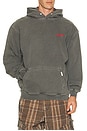 view 1 of 5 SWEAT À CAPUCHE OWNERS in Washed Black