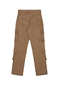 view 5 of 5 Cargo Pant in Clove