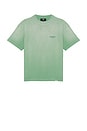 view 4 of 4 Owners Club Tee Shirt in Washed Aloe