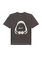 view 1 of 5 Shark Jaws T-shirt in Vintage Grey