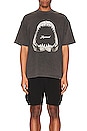 view 4 of 5 Shark Jaws T-shirt in Vintage Grey