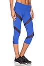 view 2 of 3 LEGGINGS COURTS MIA in Blue & Black Mesh