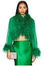 view 1 of 4 Feather Top in Dark Green