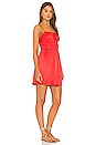 view 2 of 3 Darya Dress in Cayenne