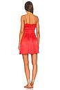 view 3 of 3 Darya Dress in Cayenne