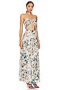 view 2 of 3 Gaia Maxi Dress in Soiree Floral