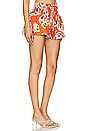 view 2 of 4 Sasha Short in Matisse Floral