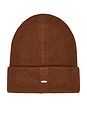 view 2 of 2 Max Beanie in Chocolate Brown