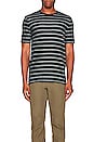 view 3 of 3 Engineered Stripe Tee in Salute & Ivory