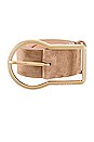 view 3 of 3 Avery Hip Belt in Camel
