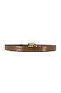 view 2 of 3 Ventura Belt in Chestnut