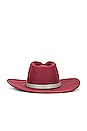 view 2 of 2 Ohara Cowboy Hat in Rose