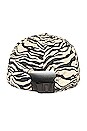 view 3 of 3 Addison Baseball Cap in Ivory Tiger