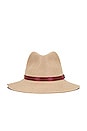 view 2 of 3 Finley Packable Fedora in Tabacco