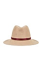 view 3 of 3 Finley Packable Fedora in Tabacco