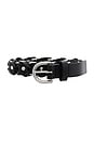 view 3 of 3 Aria Chain Belt in Black