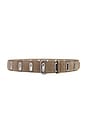 view 1 of 3 River Studded Belt in Light Sand