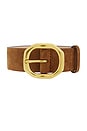view 3 of 3 Audrey Belt in Umber Suede