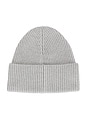 view 2 of 2 Blake Metallic Beanie in Silver