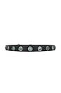 view 2 of 3 Celia Stud Belt in Black