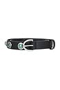 view 3 of 3 Celia Stud Belt in Black