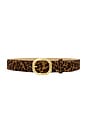 view 1 of 3 Audrey Belt in Leopard
