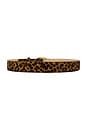 view 2 of 3 Audrey Belt in Leopard
