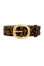 view 4 of 3 Audrey Belt in Leopard