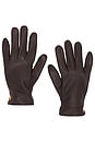 view 1 of 2 Joni Leather Gloves in Dark Espresso