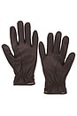 view 2 of 2 Joni Leather Gloves in Dark Espresso