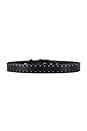 view 2 of 3 Boyfriend Belt in Black Studs