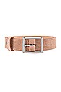 view 3 of 3 CEINTURE BOYFRIEND in Nude Suede