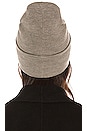 view 2 of 4 ADDISON ビーニー in Grey Melange