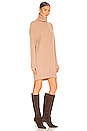view 2 of 4 Pierce Cashmere Turtleneck Dress in Camel