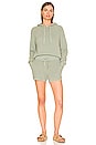 view 4 of 4 Archetype Demi Hoodie in Sage