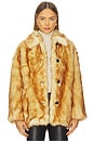 view 1 of 5 Brenna Faux Fur Jacket in Brown