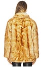 view 4 of 5 Brenna Faux Fur Jacket in Brown