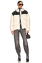 view 5 of 5 Joelle Puffer Jacket in Pale Beige