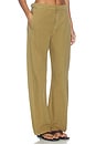 view 2 of 6 Vito Canvas Pant in Gold